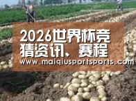 种植基地七(图1)