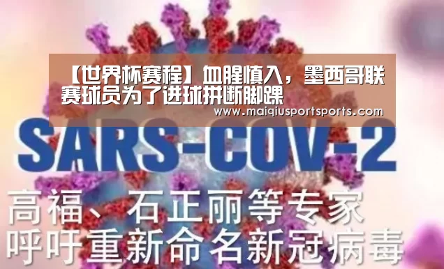 买球