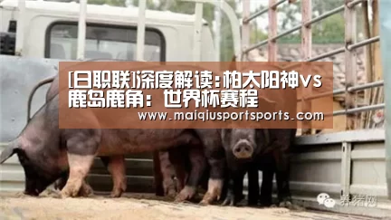 买球站官网